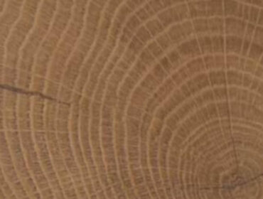 Oak Fresco - Piso Laminado Aspen